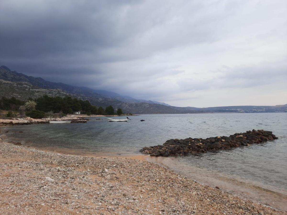 Amanda C Apartment Starigrad Paklenica Exterior photo
